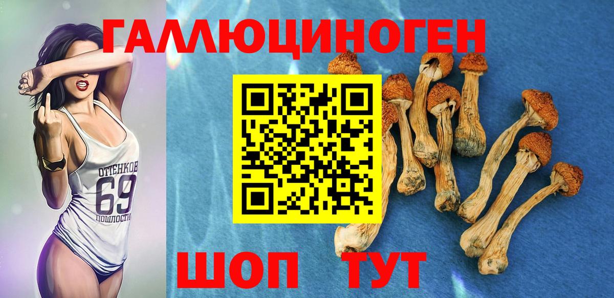 Галлюциногенные грибы прущие грибы  наркотики  Дмитров  Вход с VPN 