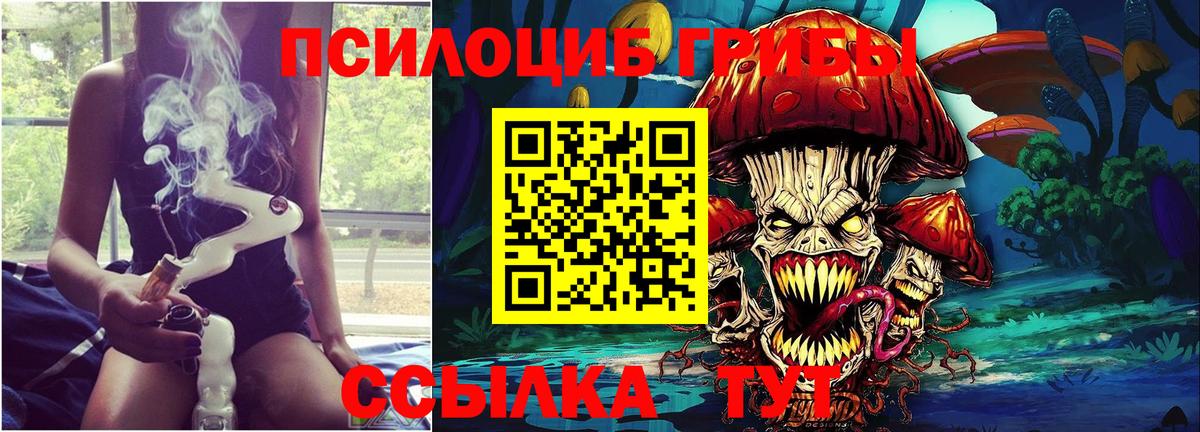 Галлюциногенные грибы Magic Shrooms Дмитров